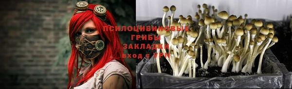 гашик Балахна