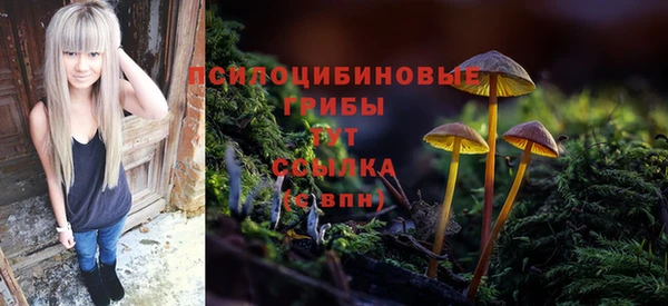 гашик Балахна