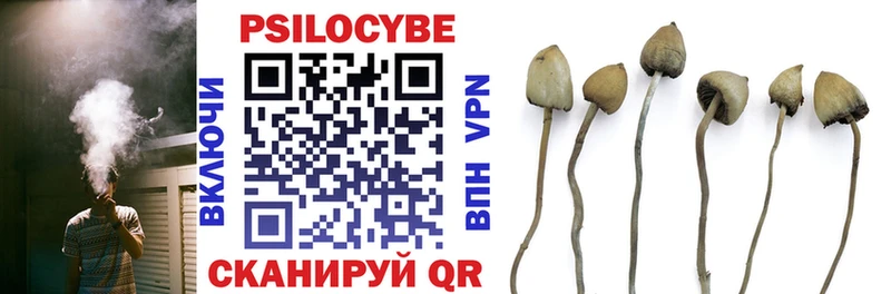 Псилоцибиновые грибы мухоморы  Кудрово 
